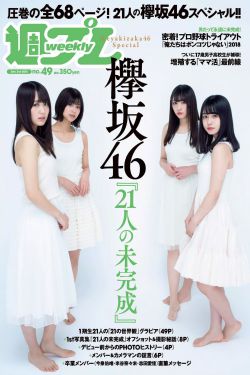 铁血丹心电视剧2024免费观看