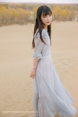 瓦西里 扎伊采夫
