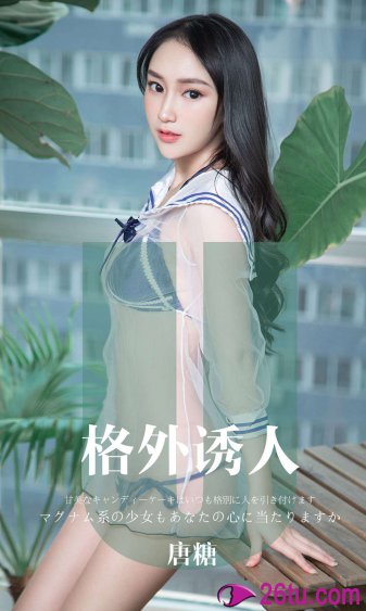 49579四不像908181